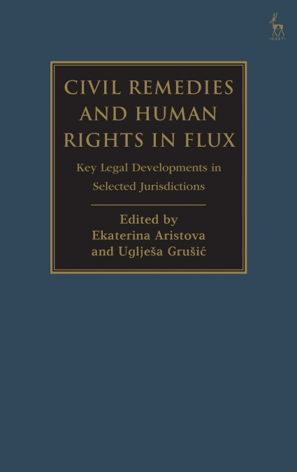 Civil Remedies and Human Rights in Flux