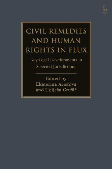 Civil Remedies and Human Rights in Flux