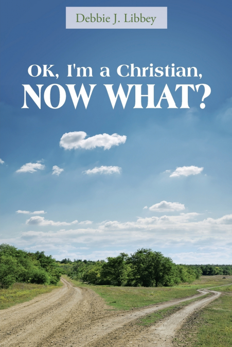 OK, I’m a Christian, NOW WHAT?