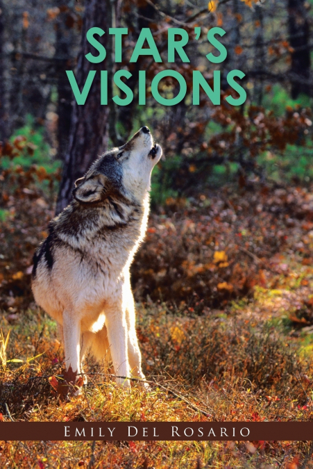 Star’s Visions