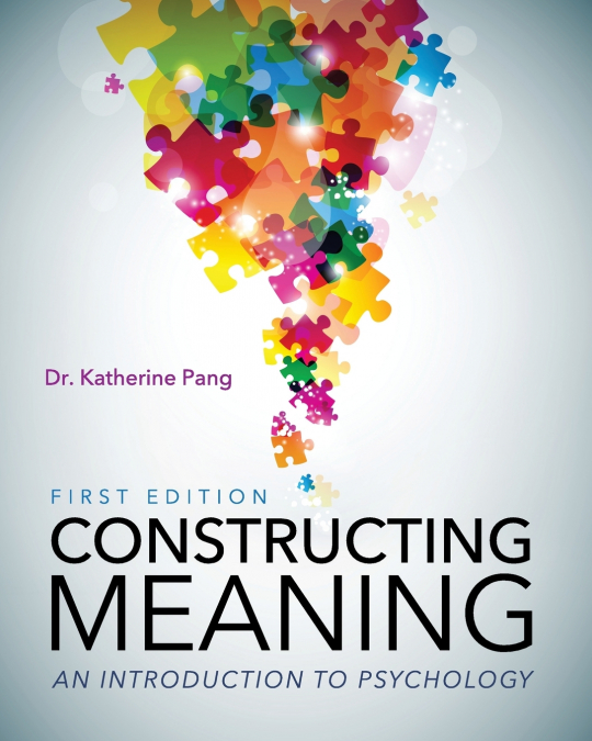 Constructing Meaning
