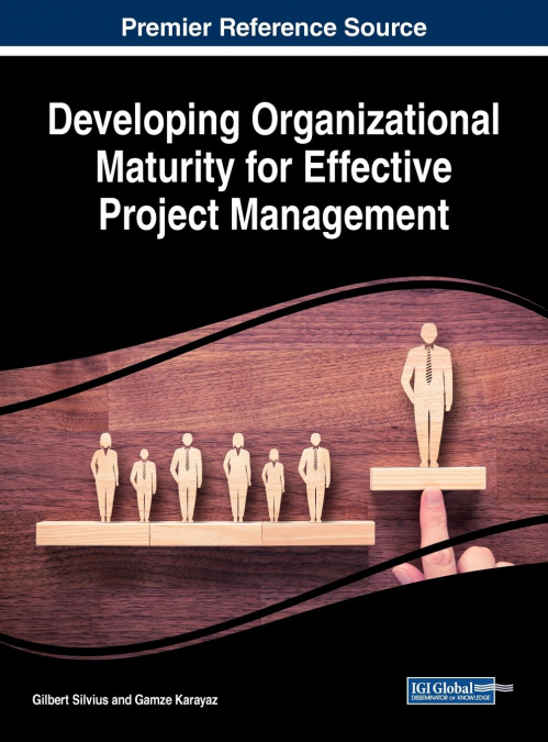 Developing Organizational Maturity for Effective Project Management