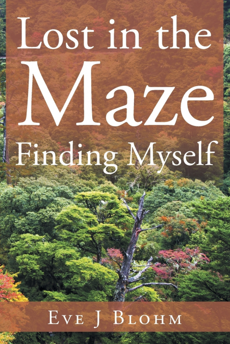 Lost in the Maze Finding Myself