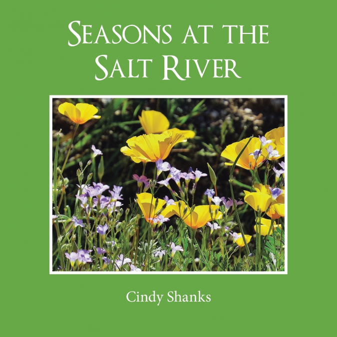 Seasons at the Salt River