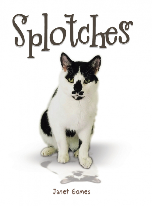 Splotches