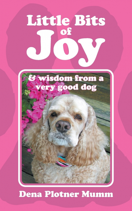 Little Bits of Joy