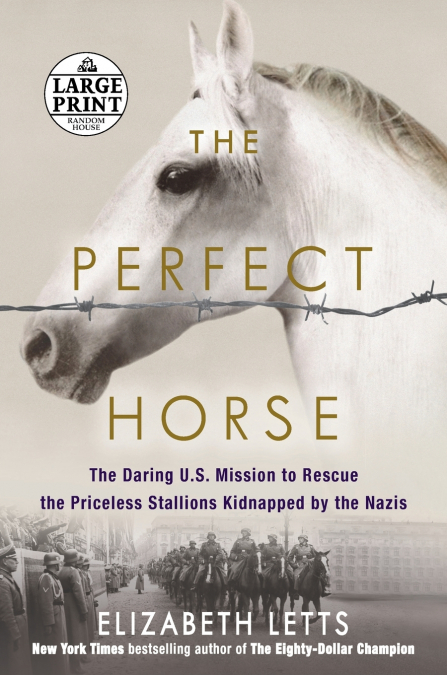 The Perfect Horse