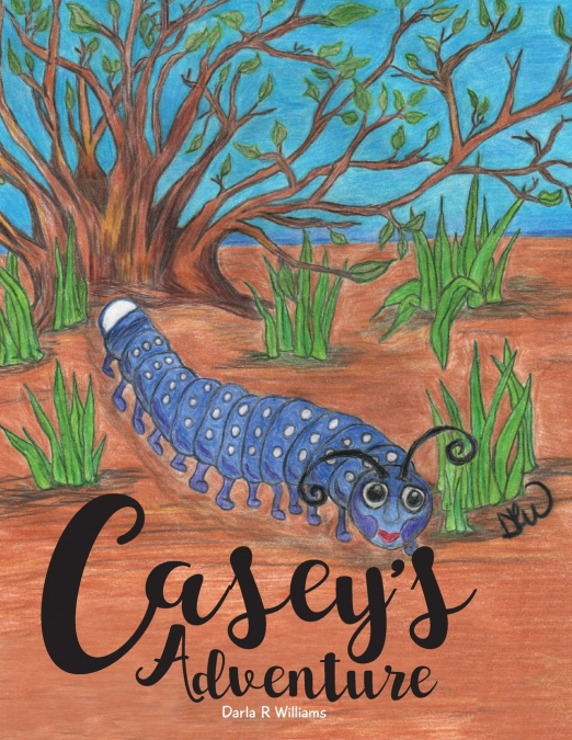 Casey’s Adventure