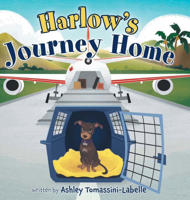 Harlow’s Journey Home