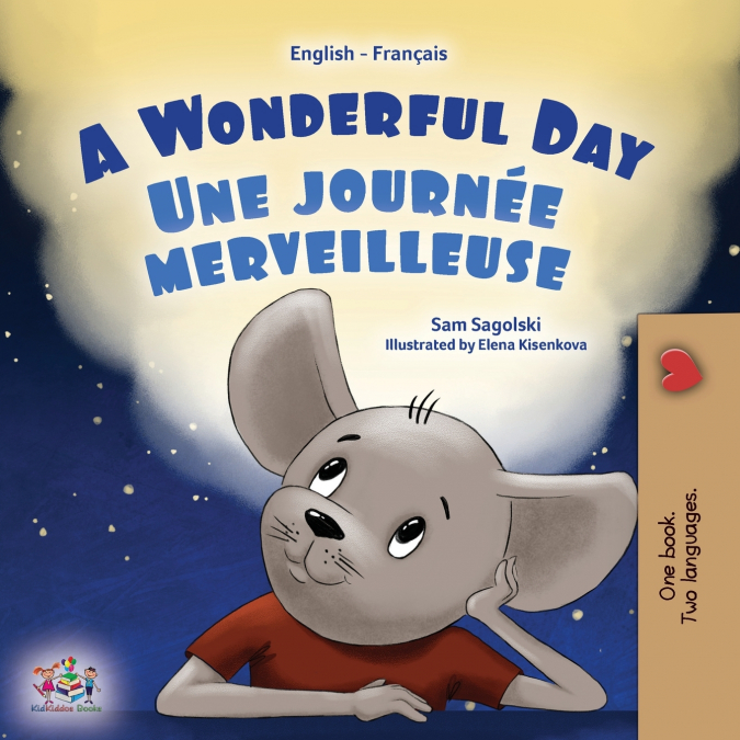 A Wonderful Day (English French Bilingual Children’s Book)