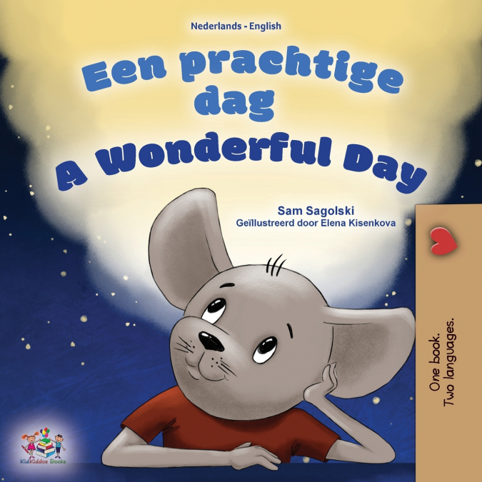 A Wonderful Day (Dutch English Bilingual Children’s Book)