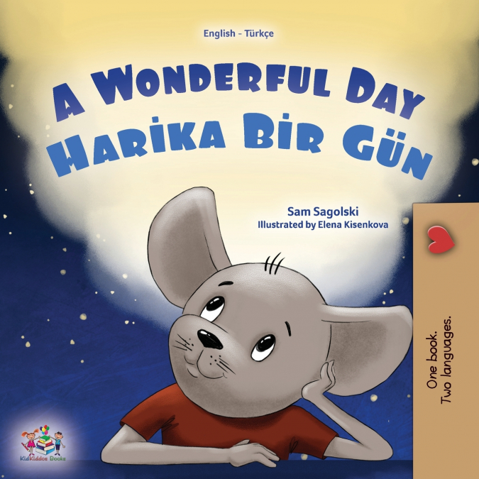 A Wonderful Day (English Turkish Bilingual Children’s Book)