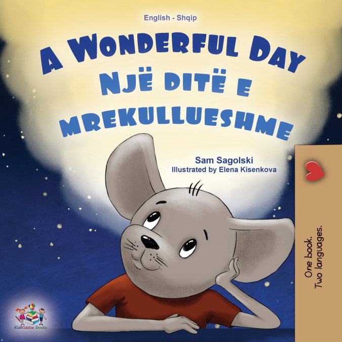 A Wonderful Day (English Albanian Bilingual Children’s Book)