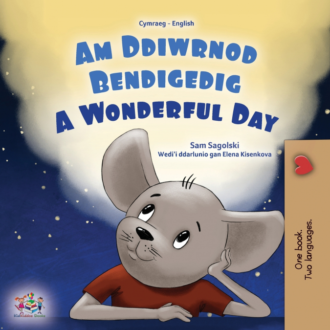 A Wonderful Day (Welsh English Bilingual Children’s Book)