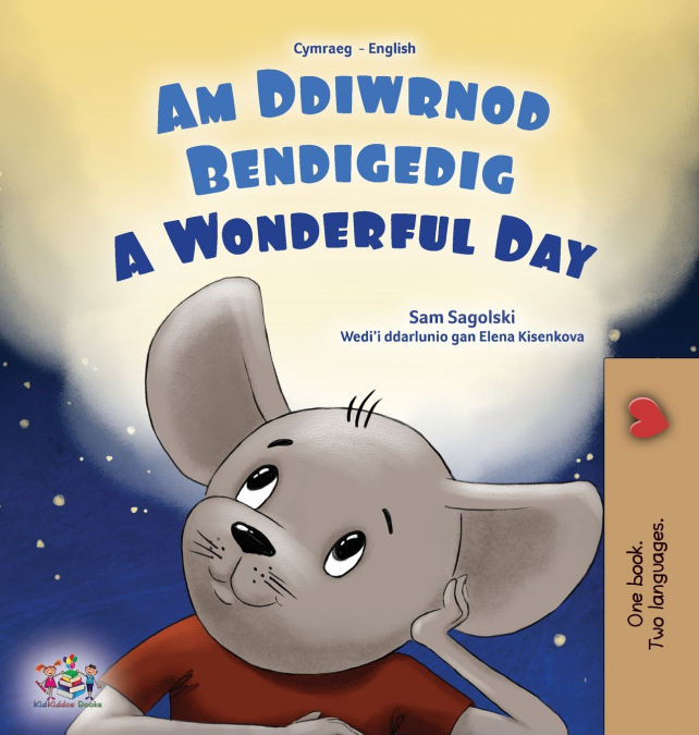 A Wonderful Day (Welsh English Bilingual Children’s Book)