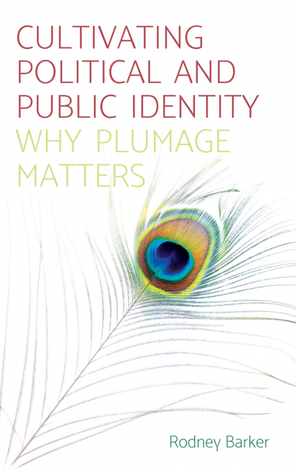 Cultivating political and public identity