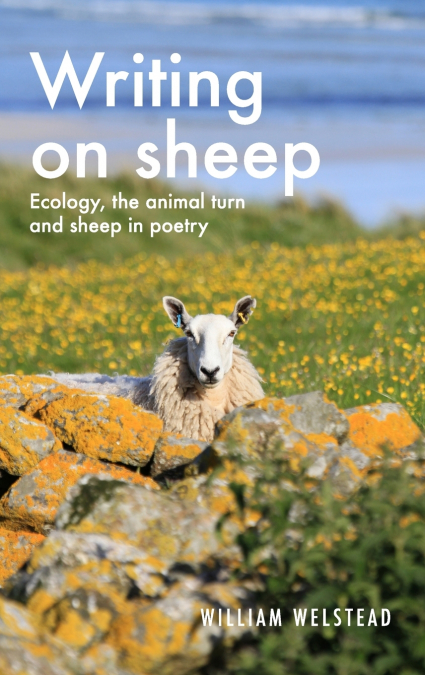 Writing on sheep