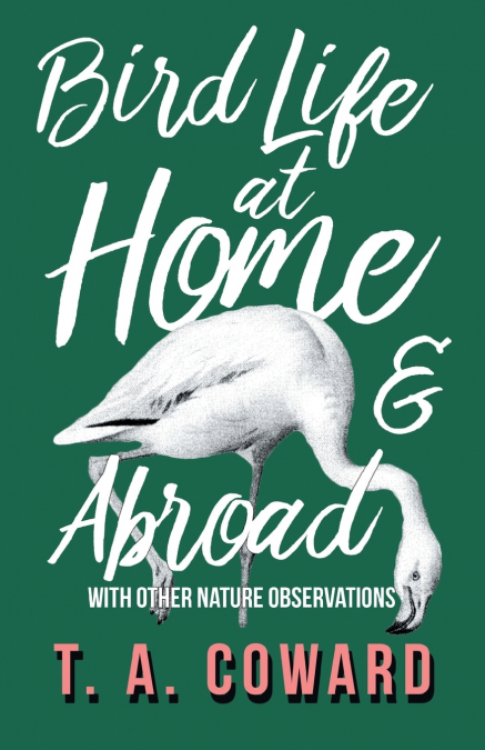 Bird Life at Home and Abroad - With Other Nature Observations