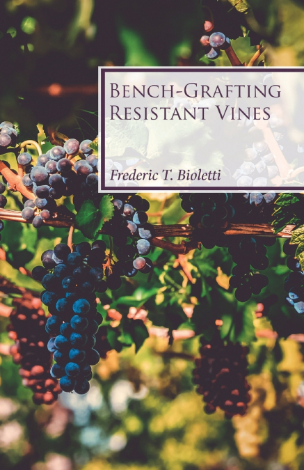 Bench-Grafting Resistant Vines