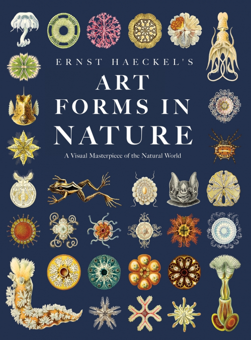 Ernst Haeckel’s Art Forms in Nature