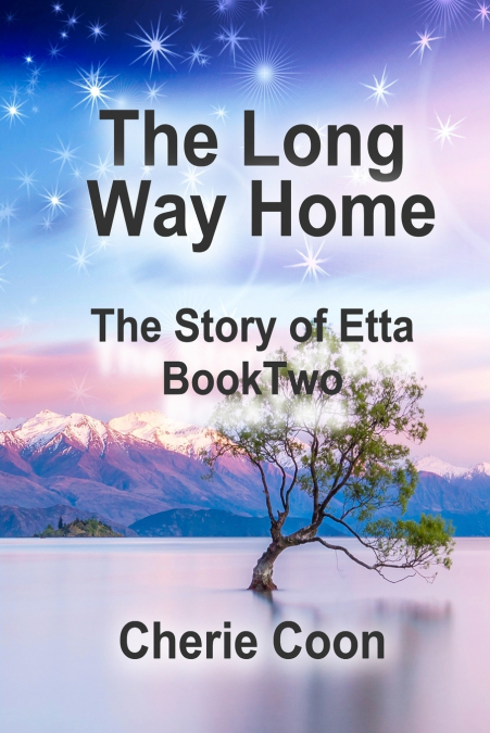 The Long  Way Home