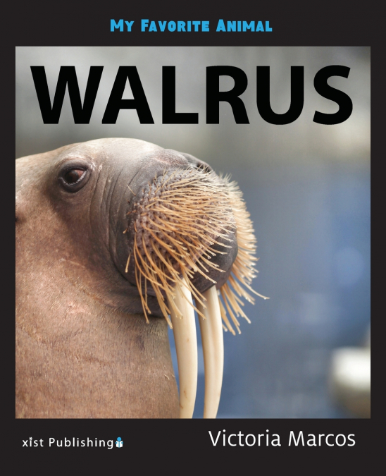 My Favorite Animal
