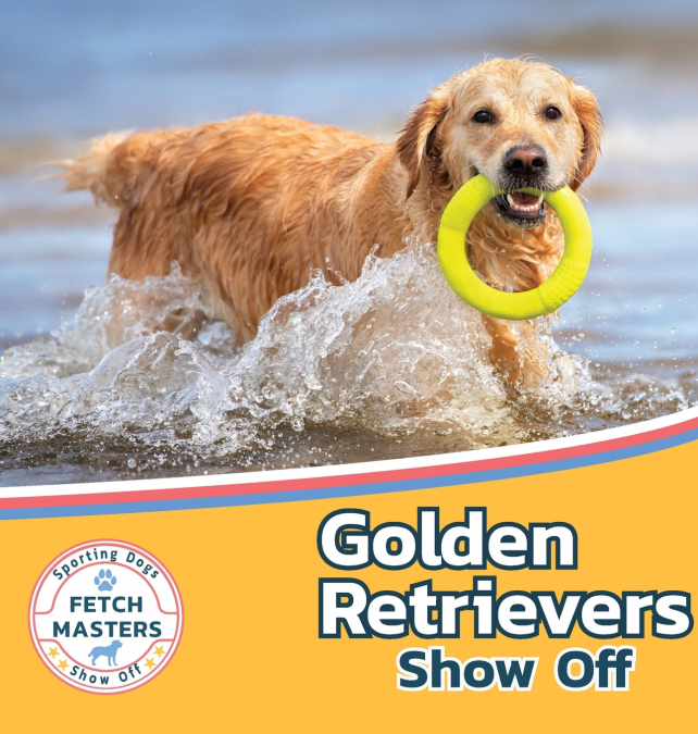 Golden Retrievers Show Off