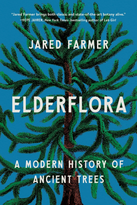 Elderflora