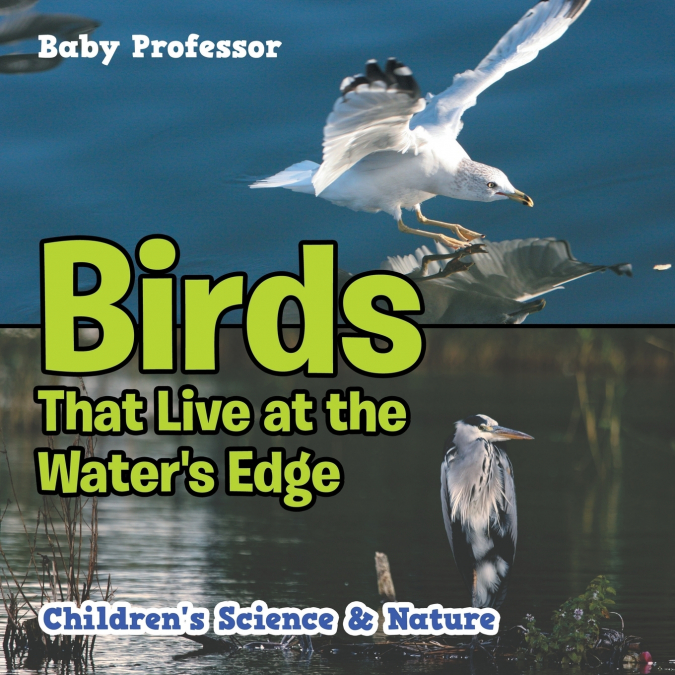 Birds That Live at the Water’s Edge | Children’s Science & Nature