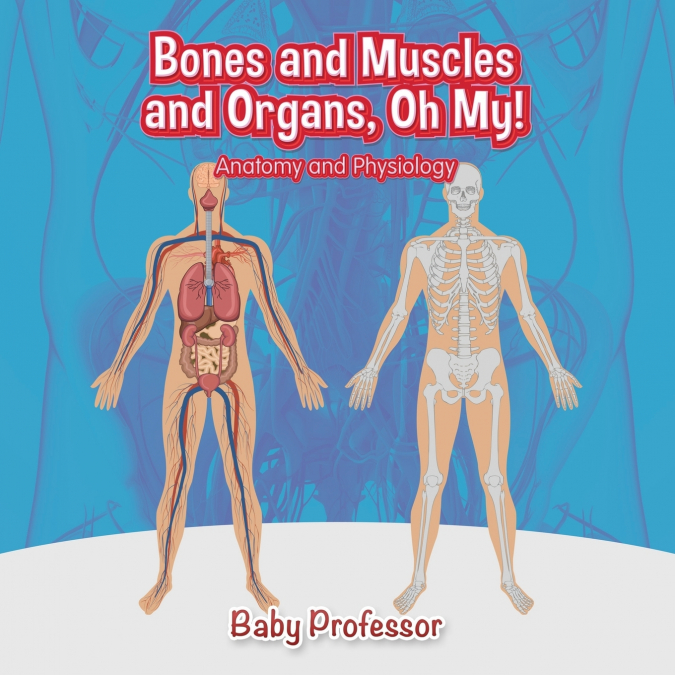 Bones and Muscles and Organs, Oh My! | Anatomy and Physiology