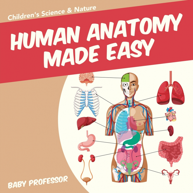 Human Anatomy Made Easy - Children’s Science & Nature