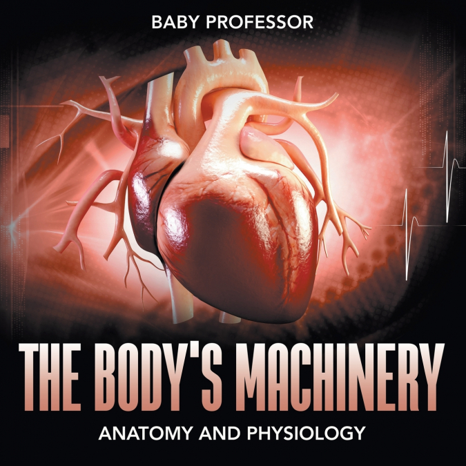 The Body’s Machinery | Anatomy and Physiology