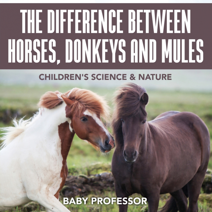 The Difference Between Horses, Donkeys and Mules | Children’s Science & Nature
