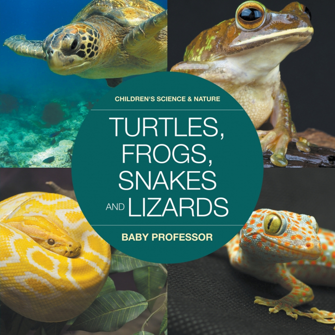 Turtles, Frogs, Snakes and Lizards | Children’s Science & Nature