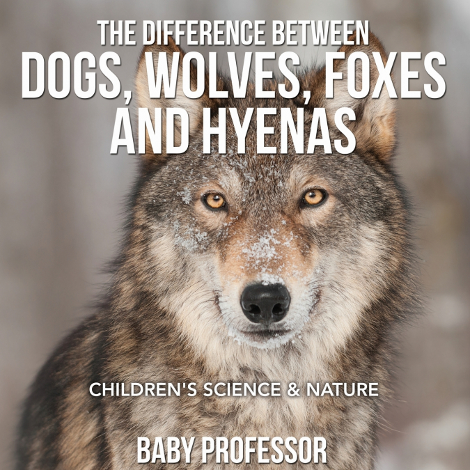 The Difference Between Dogs, Wolves, Foxes and Hyenas | Children’s Science & Nature