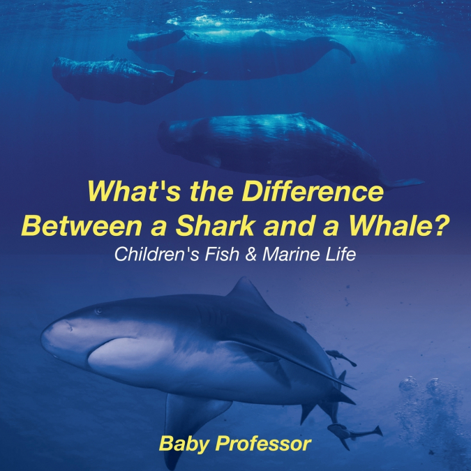 What’s the Difference Between a Shark and a Whale? | Children’s Fish & Marine Life