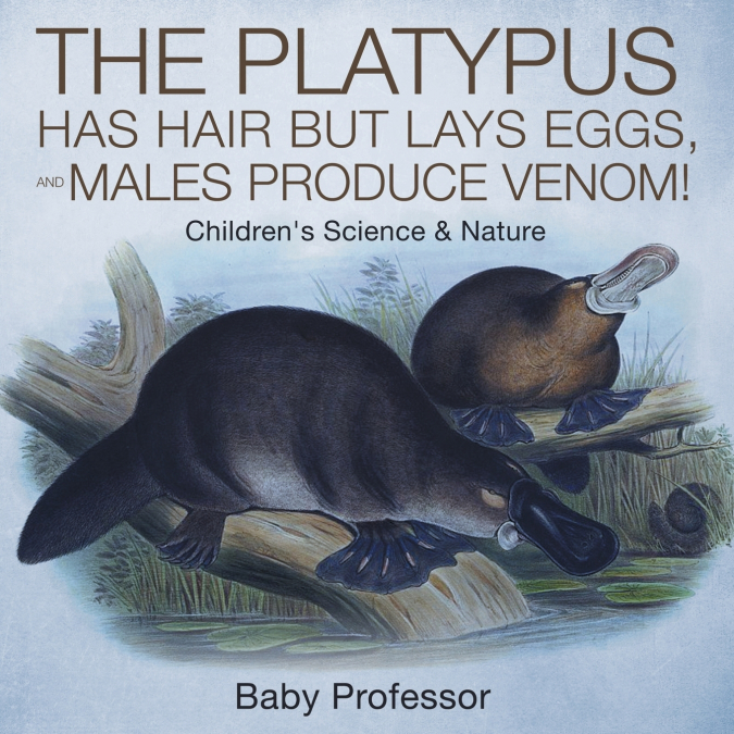 The Platypus Has Hair but Lays Eggs, and Males Produce Venom! | Children’s Science & Nature