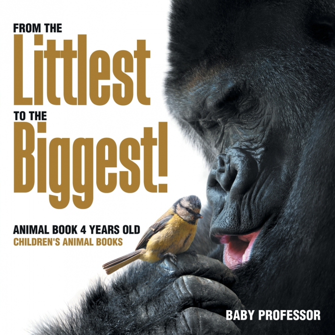 From the Littlest to the Biggest! Animal Book 4 Years Old | Children’s Animal Books