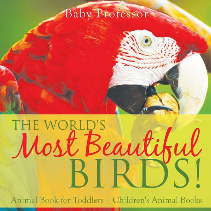 The World’s Most Beautiful Birds! Animal Book for Toddlers | Children’s Animal Books