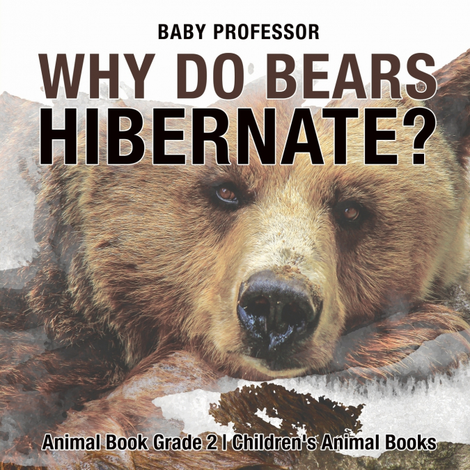 Why Do Bears Hibernate? Animal Book Grade 2 | Children’s Animal Books
