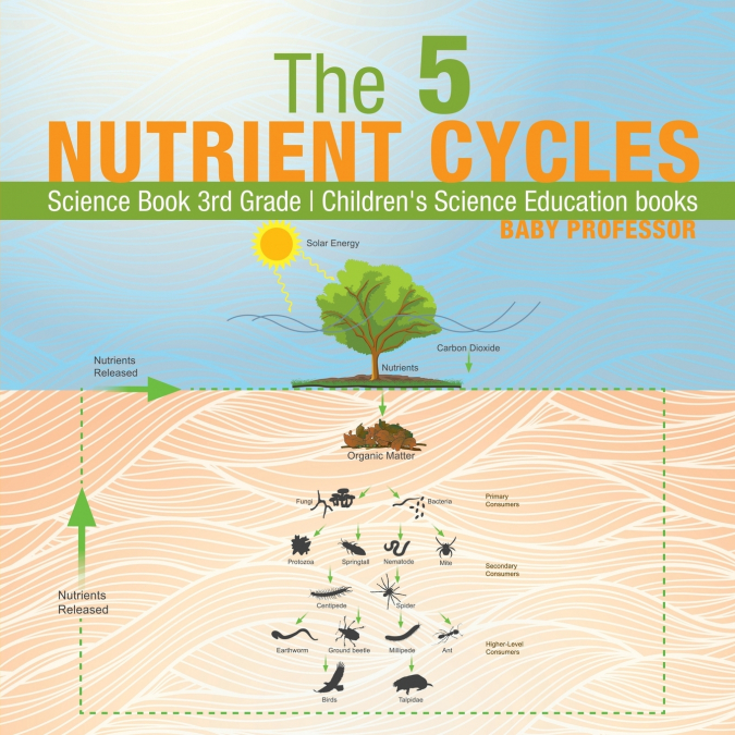 The 5 Nutrient Cycles - Science Book 3rd Grade | Children’s Science Education books