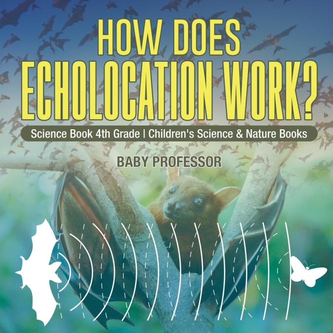 How Does Echolocation Work? Science Book 4th Grade | Children’s Science & Nature Books