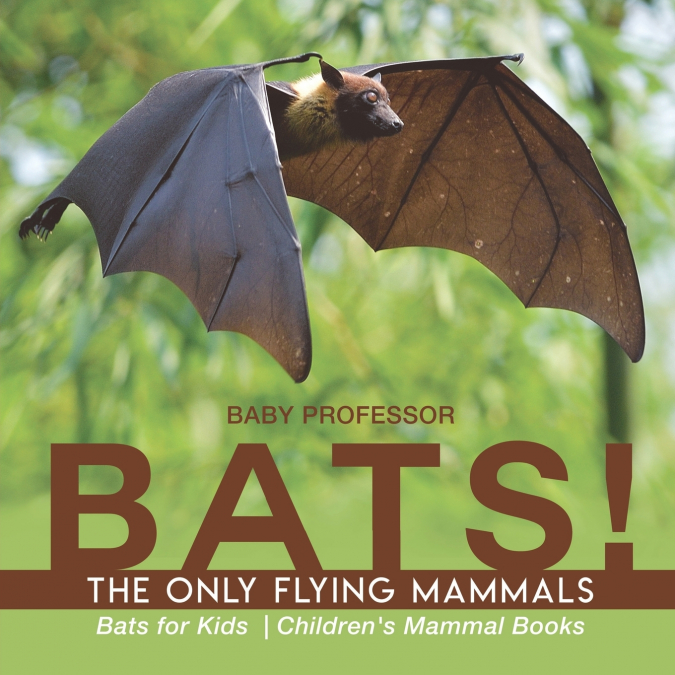 BATS! The Only Flying Mammals | Bats for Kids | Children’s Mammal Books