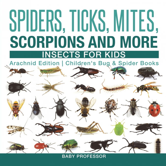 Spiders, Ticks, Mites, Scorpions and More | Insects for Kids - Arachnid Edition | Children’s Bug & Spider Books