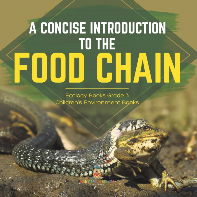A Concise Introduction to the Food Chain | Ecology Books Grade 3 | Children’s Environment Books