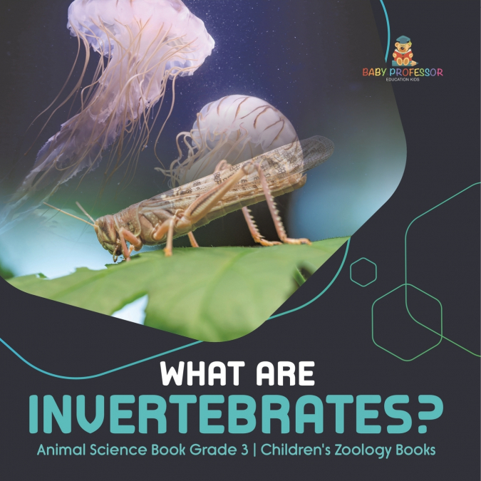 What Are Invertebrates? | Animal Science Book Grade 3 | Children’s Zoology Books