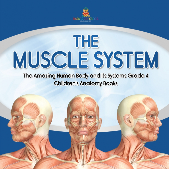 The Muscle System | The Amazing Human Body and Its Systems Grade 4 | Children’s Anatomy Books