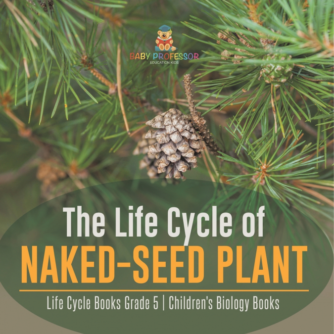 The Life Cycle of Naked-Seed Plant | Life Cycle Books Grade 5 | Children’s Biology Books