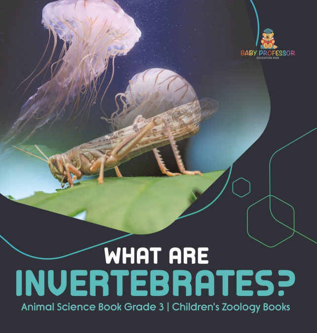 What Are Invertebrates? | Animal Science Book Grade 3 | Children’s Zoology Books