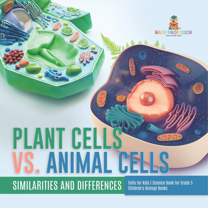 Plant Cells vs. Animal Cells